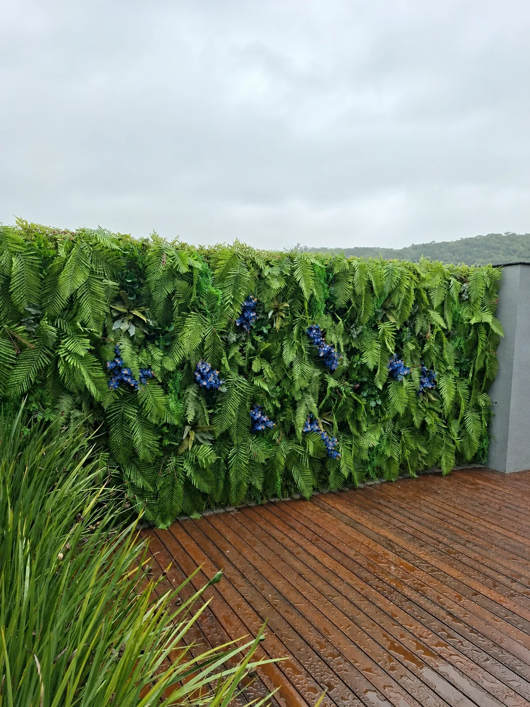 Jardim vertical com folhagens e flores azuis em área externa